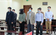 5 cựu cán bộ Thanh tra tỉnh Thanh Hóa đeo khẩu trang hầu tòa về tội Nhận hối lộ
