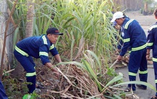 200 ngày thi đua chào mừng Đại hội Đảng bộ các cấp