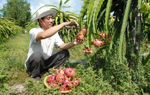 Nông sản khởi động lại thị trường Trung Quốc