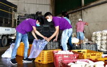 Đà Lạt tặng gần 4 tấn rau củ cho Ninh Thuận chống dịch Covid-19