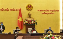 Đọc luật xong, không dám đầu tư!