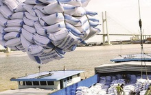 Bộ Công Thương đề xuất cho phép xuất khẩu nếp, không tính vào hạn ngạch 400.000 tấn