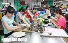 Chính sách mới có hiệu lực từ đầu tháng 4-2020 mà NLĐ nên biết