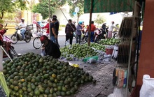 Nông sản xuất sang Trung Quốc lại ùn ứ