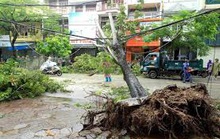 Điện lực TP HCM khuyến cáo người dân đề phòng tai nạn điện khi trời mưa