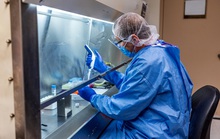 Covid-19: Tin tặc nhiều nước tấn công các viện nghiên cứu vắc-xin Mỹ