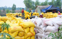 Hải quan tiếp nhận mở tờ khai gạo tồn ở cảng từ 0 giờ ngày 25-4