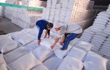 Kiến nghị cho xuất khẩu gạo bình thường, doanh nghiệp mừng ra mặt