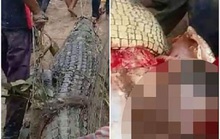 Indonesia: Mổ bụng cá sấu 4 m, phát hiện thi thể người