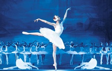 Cơ hội được xem opera và ballet của nhà hát Moscow tại nhà