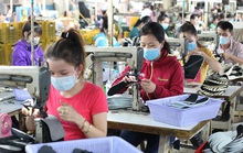 Điểm sáng xuất khẩu