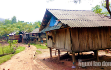 Quảng Bình: Sợ dịch, 20 người dân tộc Mày bỏ nhà vào rừng