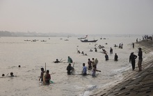 Đàn cá kình con vào sát kè biển Thuận An, nhiều người lao xuống vây bắt