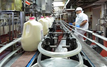 Nhà máy sữa tại Mỹ của Vinamilk góp sức cùng người dân vượt qua đại dịch Covid-19