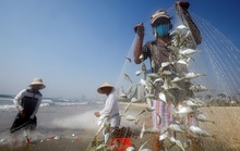 IMF: Kinh tế Việt Nam sẽ hồi phục mạnh