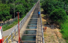 Nhiều sai phạm tại huyện Củ Chi, TP HCM