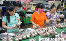 Lộ trình đề xuất điều chỉnh tuổi nghỉ hưu của người lao động