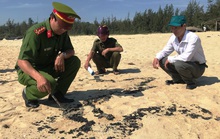 Hơn 1 km bờ biển Quảng Ngãi xuất hiện chất lạ