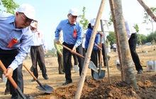 TP HCM phát động Tết trồng cây nhớ ơn Bác Hồ