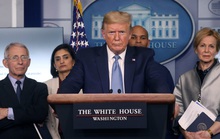 Covid-19: Tổng thống Trump lại chỉ trích WHO, quan chức Mỹ vỗ mặt Trung Quốc