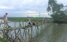 Cây cầu “lạ” bắc qua sông Bồ