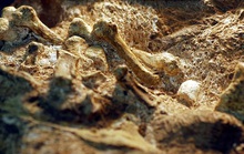 Bí ẩn sinh vật 2 triệu tuổi mang bàn tay của con người