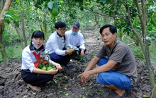 Gặp 2 nông dân “hốt bạc” từ cây cam sạch giữa dịch Covid-19