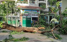 Trách nhiệm khi tỏ khi mờ!
