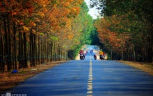 Vẻ đẹp Tây Ninh