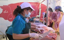 Tấp nập nhập khẩu heo thịt Thái Lan