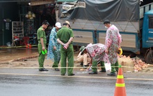 Tạm giữ tài xế gây tai nạn thảm khốc ở Đắk Nông, kiểm tra ma túy và độ cồn