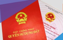 Nhặt được sổ đỏ có thể đem đi cầm cố?