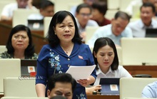 Đại biểu Quốc hội đề xuất phạt lao động công ích khi vi phạm hành chính