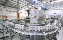 Doanh nghiệp sữa Việt đầu tiên được cấp phép xuất khẩu sữa vào Liên minh Kinh tế Á Âu