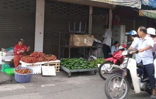 Vải thiều giảm sản lượng vào Nam