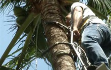 Cứu sống ngoạn mục thanh niên nghèo té cây dừa cao 5m khiến đốt sống gãy nát