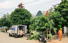 Một hộ dân bị Điện lực ghi nhầm lượng điện gấp 33 lần, lên đến 58 triệu đồng/tháng