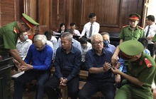 Ông Trần Phương Bình trần tình trước tòa: Đâm lao nên phải theo lao