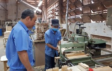 Hơn 6.000 công nhân được nâng bậc thợ