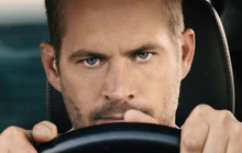 Quản lý kiện công ty quản lý tài chính Paul Walker