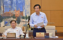 Quốc hội dự kiến chất vấn trực tuyến các tư lệnh ngành