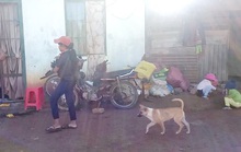 Lâm Đồng: hàng chục trường hợp mắc bệnh lạ