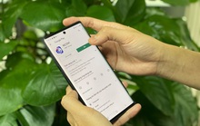 AI trong tầm tay