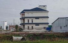 Khó kiểm soát việc nuôi yến