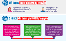 [Infographic] Tham gia bảo hiểm xã hội tự nguyện có quyền lợi gì?