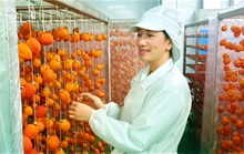 Lấy lại uy tín cho dâu tây, trái hồng Đà Lạt