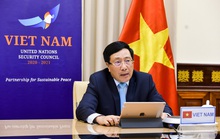 Phó Thủ tướng dự thảo luận Hội đồng Bảo an LHQ về Covid-19 và hòa bình
