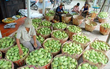 Lời cảnh tỉnh cho trái cây xuất khẩu