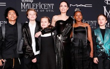 Cùng 6 con chống chọi đại dịch, Angelina Jolie thấy may mắn