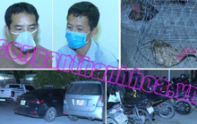 Bắt quả tang 85 người chơi đá gà ăn tiền, thu giữ 16 con gà chọi, 46 xe máy, 9 xe ôtô